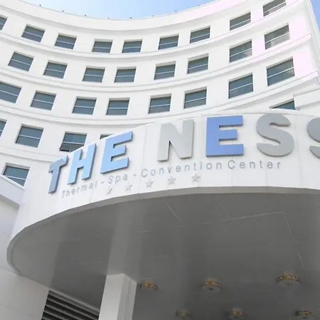 The Ness Dongel